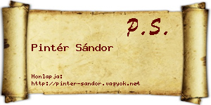 Pintér Sándor névjegykártya